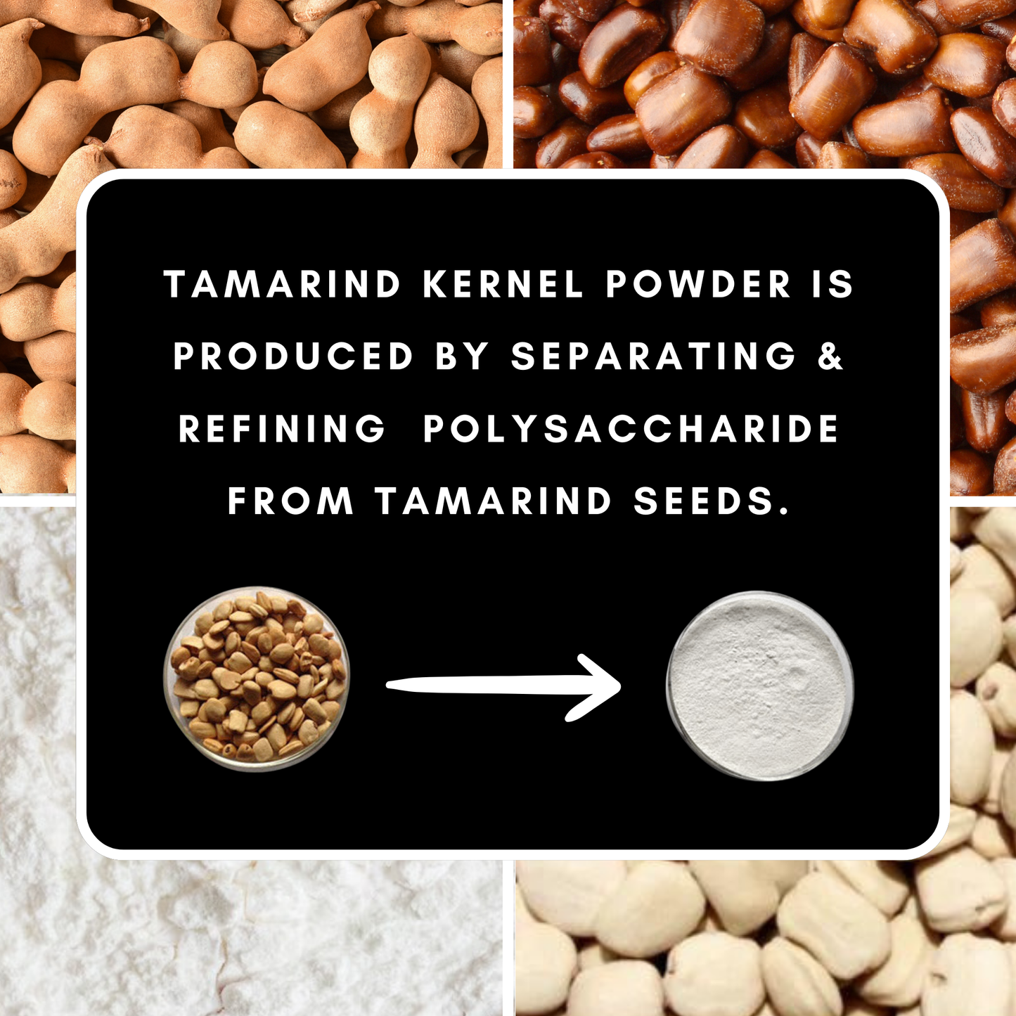 White Tamarind Seed Gum Powder 100G